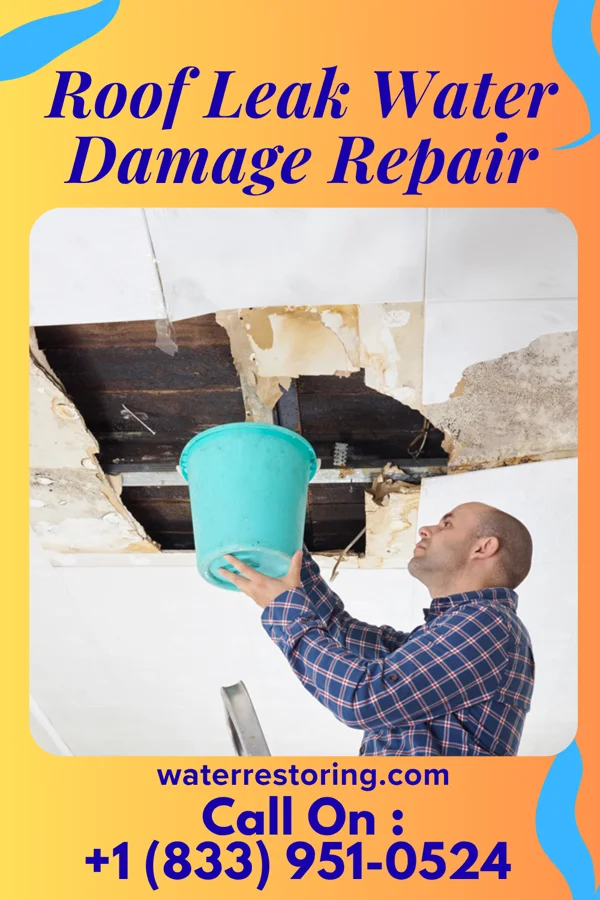 Roof Leak Water Damage Repair in Kensington, CA